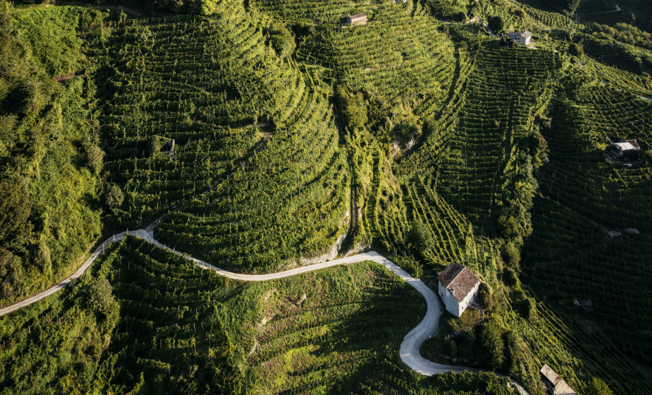 Il paesaggio del Conegliano Valdobbiadene Prosecco Superiore Docg patrimonio Unesco
