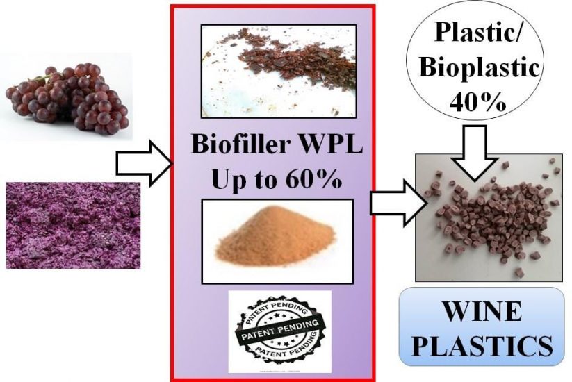 Plastica pulita dagli scarti del vino: il progetto vincente della startup AgroMateriae
