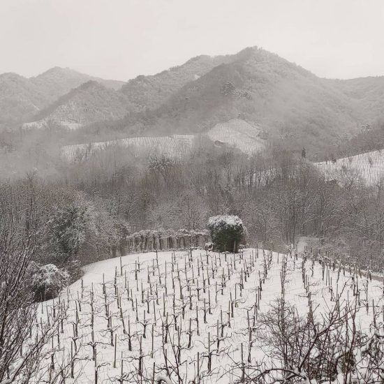 Le Colline del Conegliano Valdobbiadene Prosecco Superiore Docg patrimonio Unesco Ph Moreno Guizzo