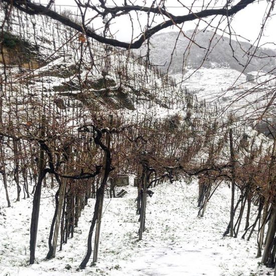 Le Colline del Conegliano Valdobbiadene Prosecco Superiore Docg patrimonio Unesco Ph Rebuli