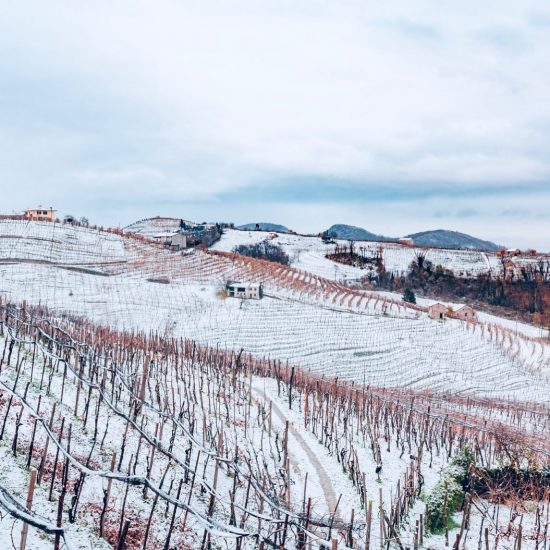 Le Colline del Conegliano Valdobbiadene Prosecco Superiore Docg patrimonio Unesco Ph Terre di Zanzago