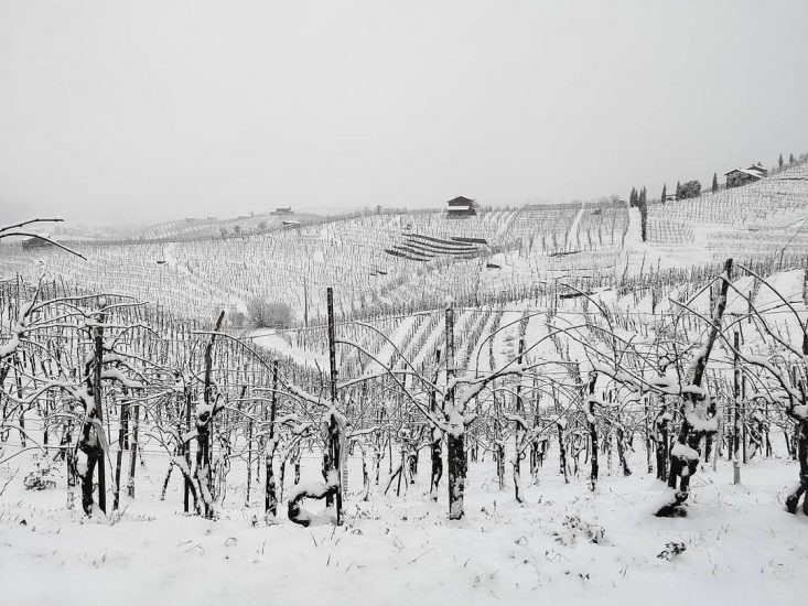Le Colline del Conegliano Valdobbiadene Prosecco Superiore Docg patrimonio Unesco Ph Val de Cuna