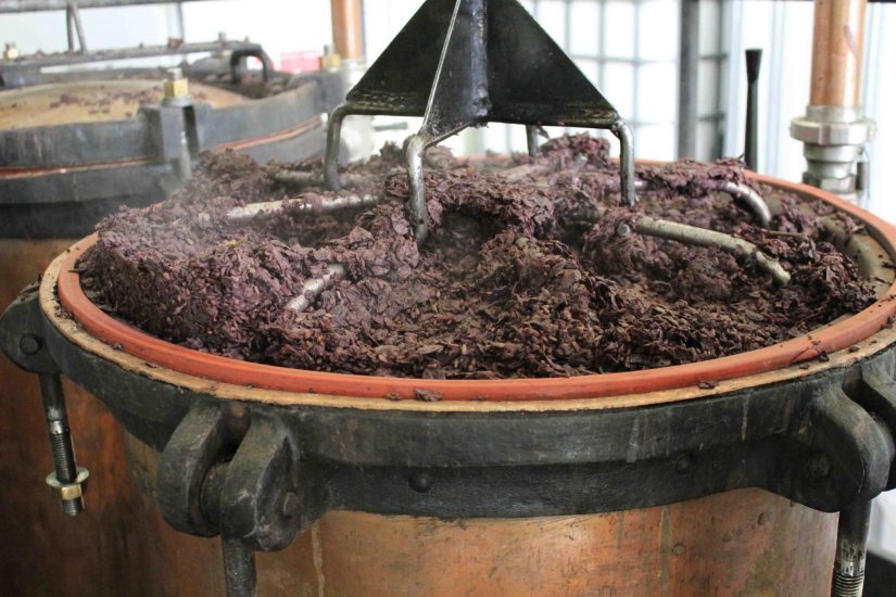 Nel report di AssoDistil, la “svolta green” delle distillerie italiane