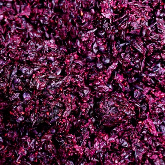 Plastica pulita dagli scarti del vino: il progetto vincente della startup AgroMateriae