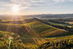 In viaggio, con WineNews, negli stellati Michelin di proprietà delle griffe del vino del Belpaese