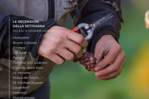 I Vini di WineNews - N. 131