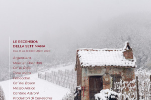 I Vini di WineNews - N. 132