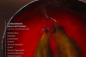 I Vini di WineNews - N. 133