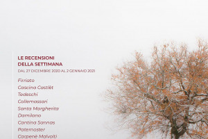 I Vini di WineNews - N. 134