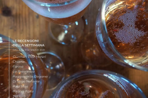 I Vini di WineNews - N. 135