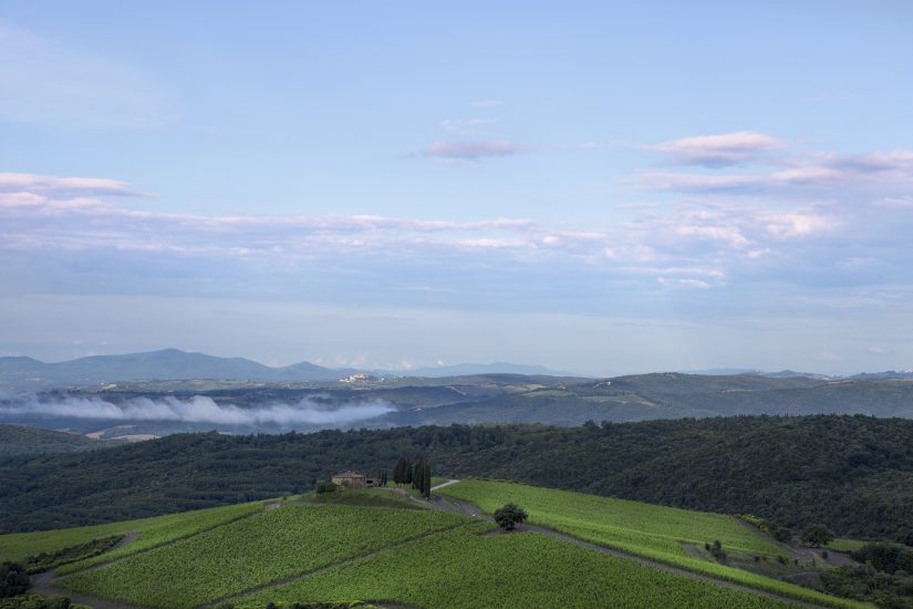 Tra i filari di Castiglion del Bosco