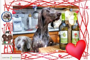 Dal vino un aiuto anche ai cani in difficoltà: “Cuore di Bracco”, l’idea di Cantine Ramarro