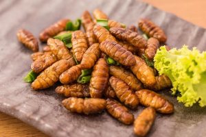 Le larve del verme entrano in commercio in Europa ma gli italiani “rifiutano” la novità