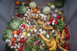 Ogni anno un terzo del cibo viene buttato via. WoirNet.org: danno economico, sociale e ambientale