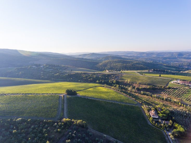 La collina di Tignanello, uno dei luoghi più belli del vino d’Italia