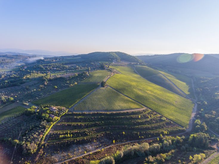 La collina di Tignanello, uno dei luoghi più belli del vino d’Italia