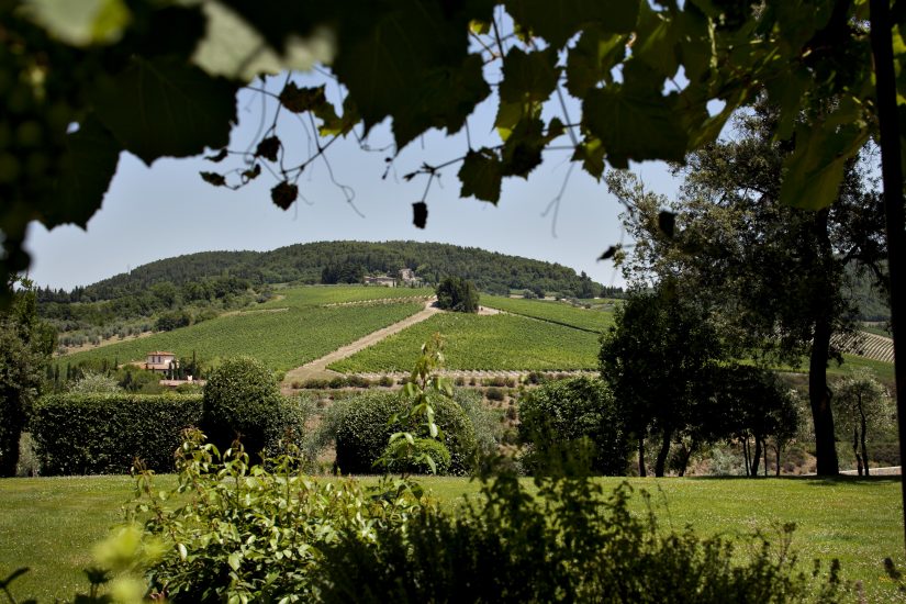 La collina di Tignanello, uno dei top brand del vino di Toscana, di Antinori