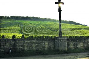 Il 2020 rallenta la corsa della Borgogna sul mercato secondario dei fine wine Il 2020 rallenta la corsa della Borgogna sul mercato secondario dei fine wine