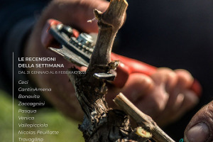 I Vini di WineNews - N. 139