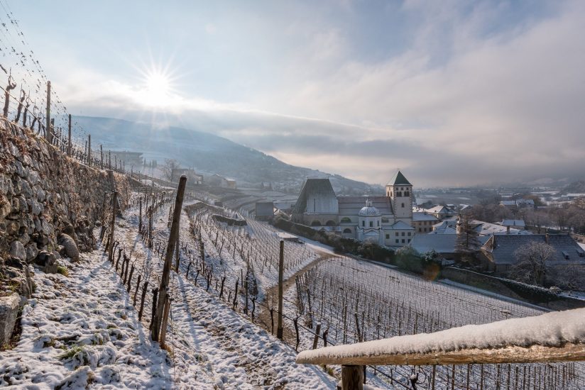 I vigneti innevati di Abbazia di Novacella, in Alto Adige