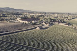 Cecchi, realtà del vino in grande salute, ma sono forti i dissidi nella governance