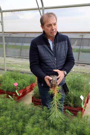 Il Tartufo Bianco diventa anche francese: la coltivazione firmata Inrae e Vivai Robin 
