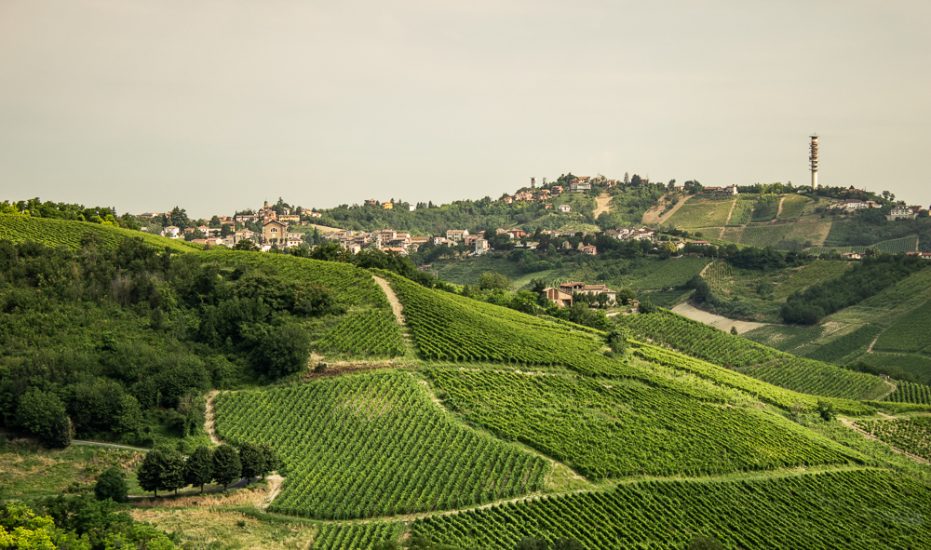 Il territorio del Buttafuoco Storico, emblema dell’Oltrepò Pavese