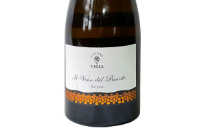 Cantine Viola, Calabria Igt Bianco Il Vino del Preside Raspato 2018