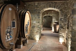 Investimenti importanti e pazienza: La Cerbaiona “torna” in campo con il Brunello 2016