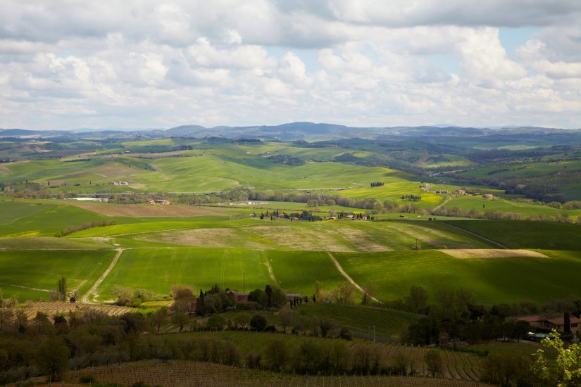 La Cerbaiona, una delle cantine simbolo di Montalcino, oggi di  Gary Rieschel