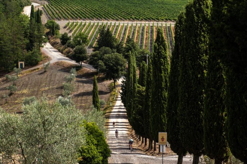 Il grande ciclismo sulle strade bianche del Brunello di Montalcino