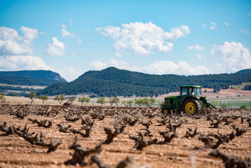 Finca Vella, la cantina spagnola entrata nel Gruppo Fantini