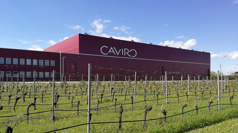 Sostenibilità e vino, al colosso Caviro il “Premio Impresa Ambiente 2020”