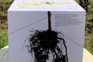 Oltre la pandemia: da 9 giovani produttori d’Italia un gesto di solidarietà per la ristorazione