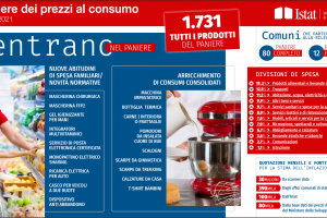 Istat, il paniere 2021 racconta gli effetti della pandemia, da mascherine ad impastatrice