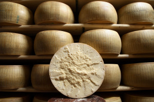 Un simbolo del made in Italy che non conosce crisi: per il Parmigiano Reggiano un 2020 di crescita