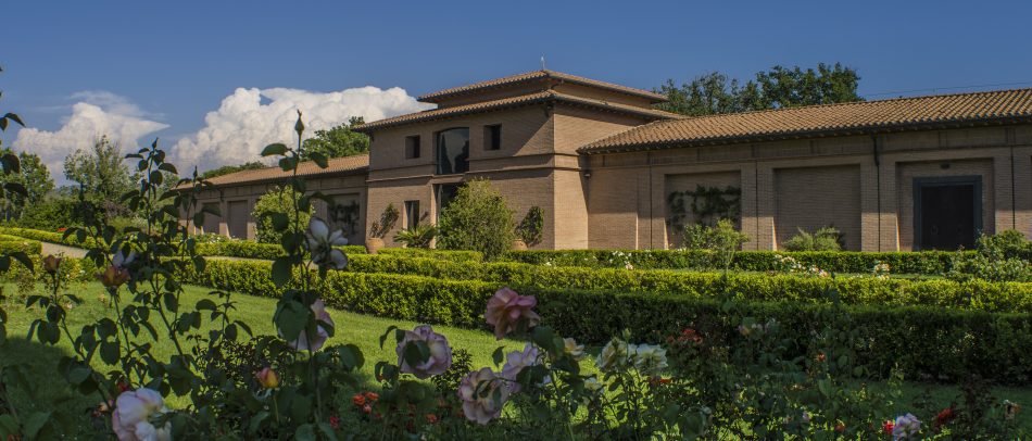 La Tenuta San Guido ph Etienne Hunyady