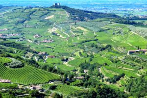 The performance of Italian wine in the world and the future The performance of Italian wine in the world and the future