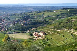 La voglia di guardare oltre la pandemia: il messaggio della “Valpolicella Annual Conference” La voglia di guardare oltre la pandemia: il messaggio della “Valpolicella Annual Conference”