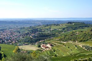 Wine markets in crisis, but Italy is holding up. The focus in the Valpolicella Annual Conference Wine markets in crisis, but Italy is holding up. The focus in the Valpolicella Annual Conference