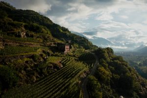 Il futuro del food & beverage, che oggi vale il 3,8% del Pil italiano, al Forum Ambrosetti Il futuro del food & beverage, che oggi vale il 3,8% del Pil italiano, al Forum Ambrosetti