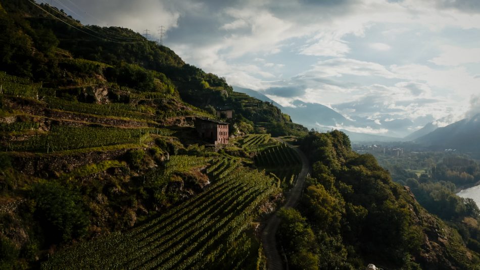 Al Giro d’Italia 2022 arriva la “Sforzato Wine Stage” 