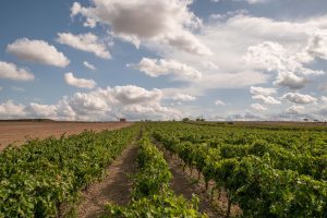 Più del clima (che preoccupa, ma si può gestire), spaventa l’economia