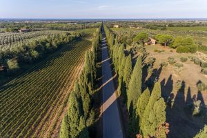 Vino e pegno rotativo, accordo tra il Consorzio dei Vini Bolgheri e Crédit Agricole Italia