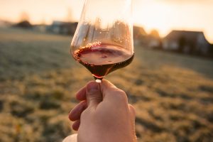 L’impatto pesante del Covid sulle imprese del vino: lo studio di Ismea e Wine Meridian