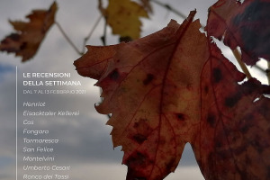 I Vini di WineNews - N. 140