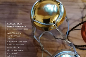 I Vini di WineNews - N. 141