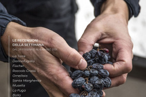 I Vini di WineNews - N. 143