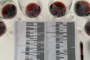 Cambiamento climatico, zonazione e gestione dei legni: le sfide per il Brunello di Montalcino