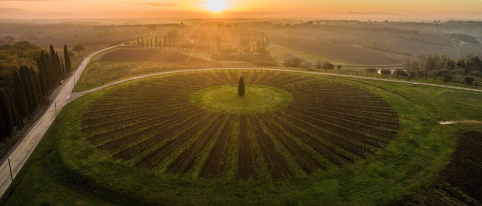 Avignonesi, Società Benefit